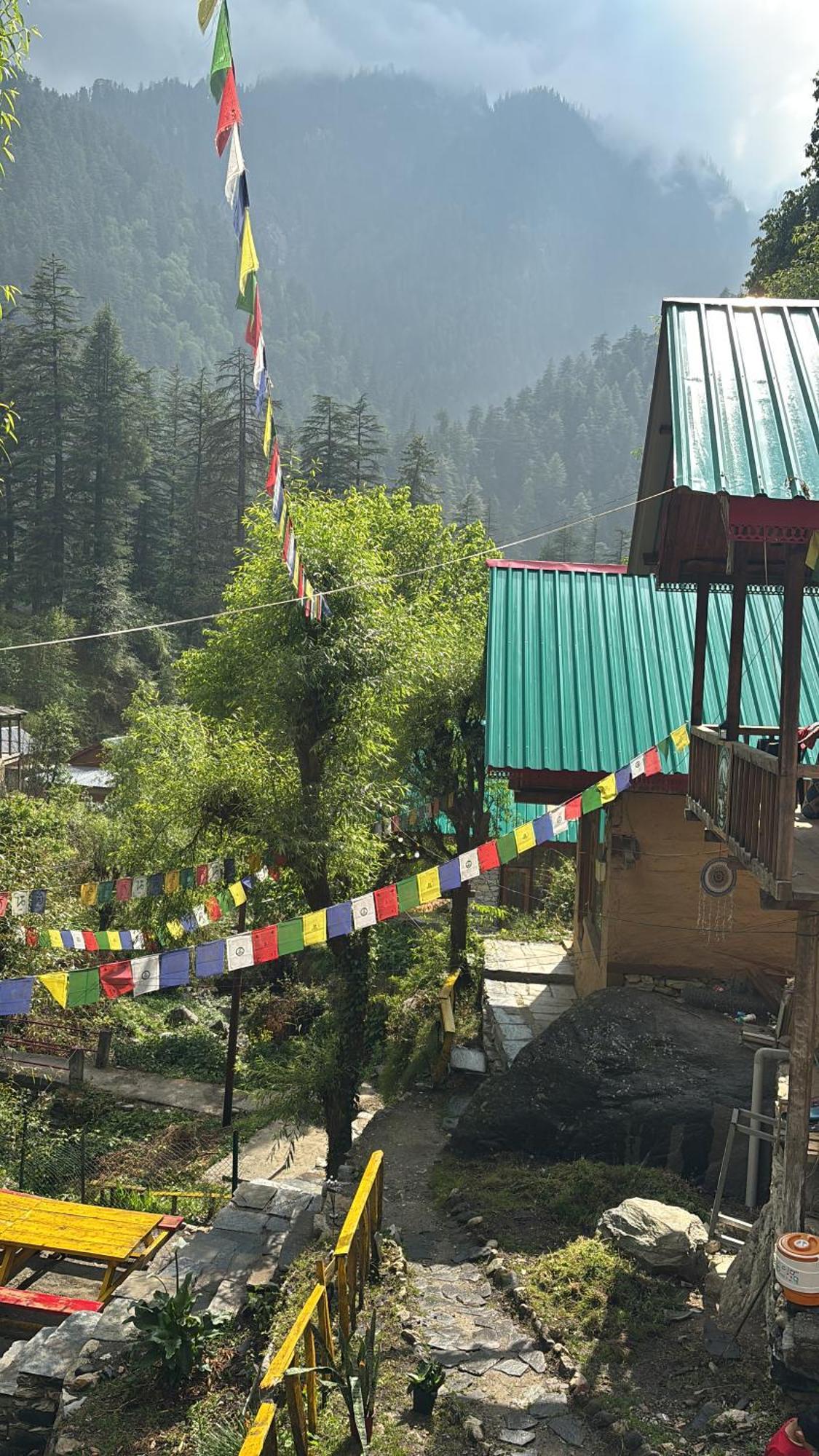 The Cozy Cabin, Jibhi Banjār Exterior foto